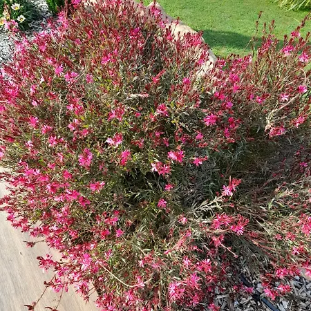 住宿加早餐酒店 Champetre