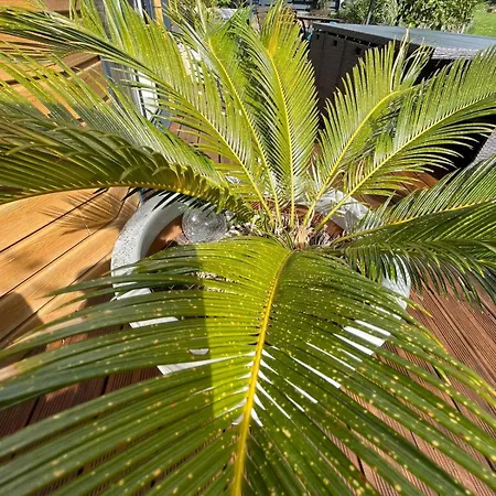 Champetre 住宿加早餐酒店 Angrie