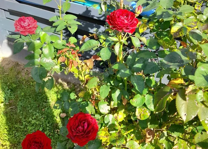 Couette-café Champêtre Angrie